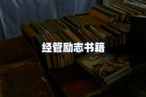 经管励志书籍